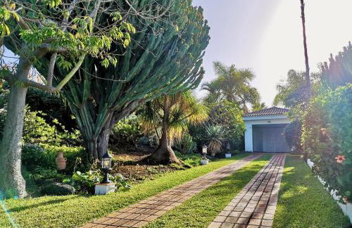 Nanou House - Foto 49