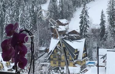 Tatrzańskie Zacisze Suche - Foto 21