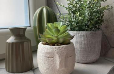 Alex Place's - Foto 42