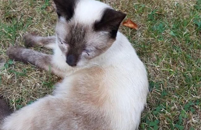 Ferienhof Löw - Photo 27