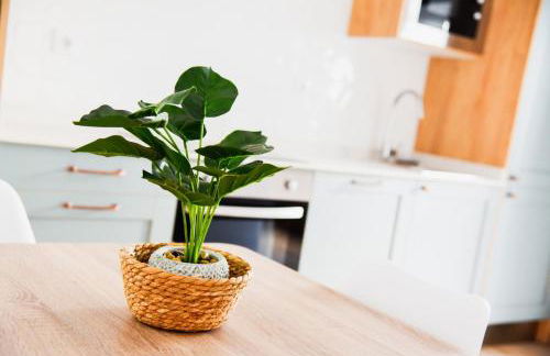 Apartamentos Leyenda de Liérganes - Foto 29