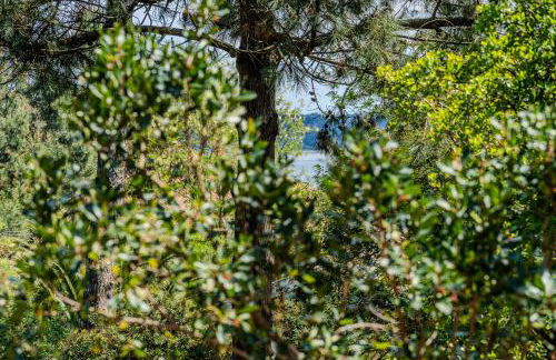 Villa Les Américains - Foto 11