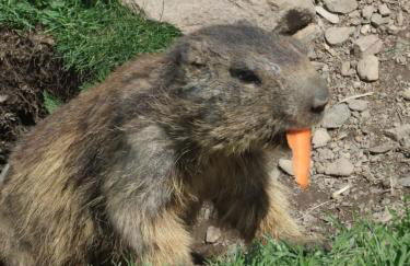 Les Hauts Des Auches - Foto 12