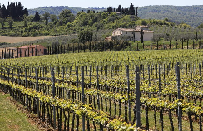 Belvilla by OYO Villa Le Buche - Foto 39