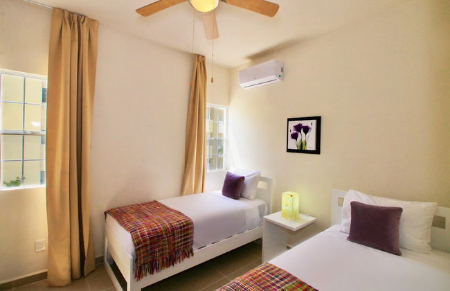 Selvanova by Select - Foto 45