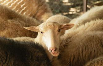 Agriturismo Le Forre del Treja (La Villa) - Foto 45