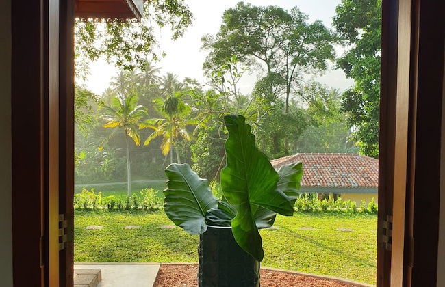 The Mugatiya - Foto 14