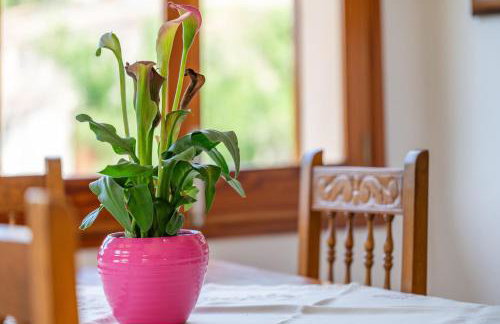 Son Sant Joan - Photo 2