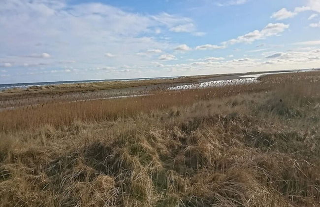 6 Person Holiday Home in Hals - Foto 22