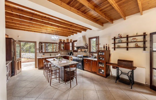 Troodos Mature Pine Chalet - Foto 9