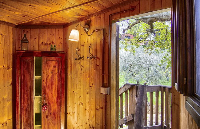 Agriturismo Fattoria La Prugnola - Foto 34