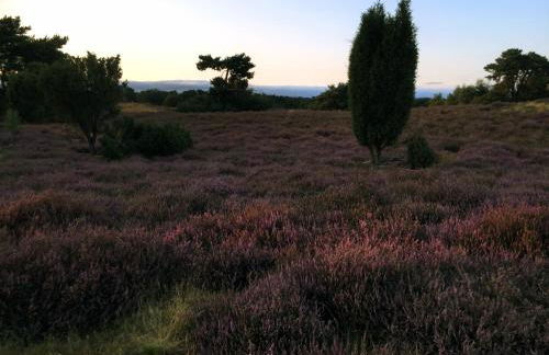 Mamat Ferienwohnungen - Foto 17