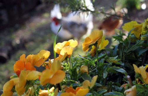 Casa Apartamento Rural BlaBlao - Photo 30