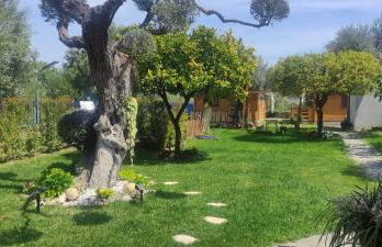 Il Paradiso - Foto 3