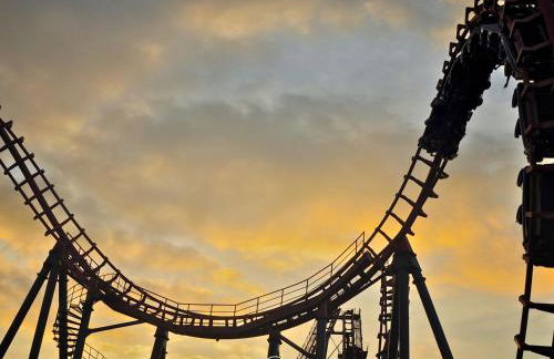 Waldklang - Refugio - Hund - Zaun - Smart - Foto 52