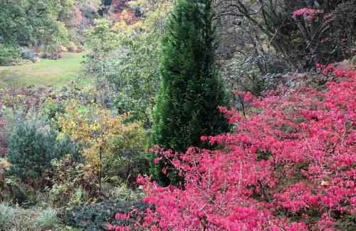 La Falaise Bleue - Vue mer - Plage à pied - Foto 68