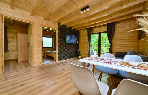 GOŁOSANKA - Domki nad Potokiem - 693-201-038 - Photo 17