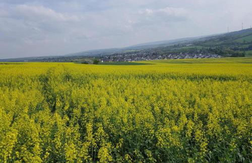 Apartment In Bad Camberg with parking - Photo 37