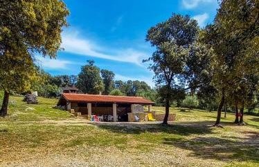 Apartments MULOBEDANJ - Foto 2