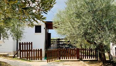 oasi macerina - Foto 3