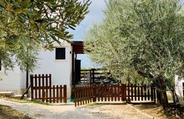 oasi macerina - Foto 3