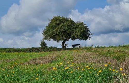 Ferienwohnung My Suite Home - Foto 19