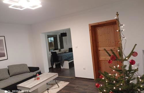 FeWo An der Elpe zwischen Winterberg und Fort Fun - Foto 18