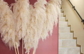 Résidence "Le Vélodrome" - Foto 19