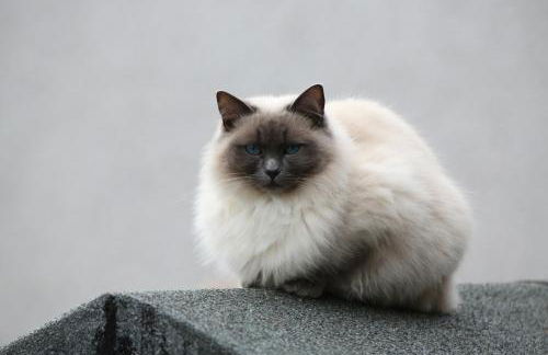 Room with a view - Photo 47