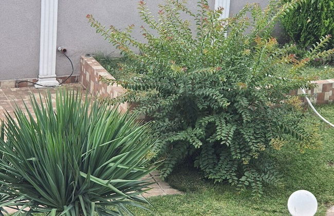 ROEL Residence Apartments - Photo 62