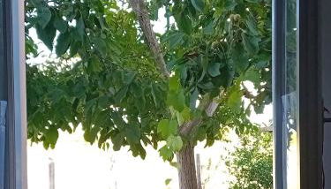 Appartamento Venturina Terme - Foto 5