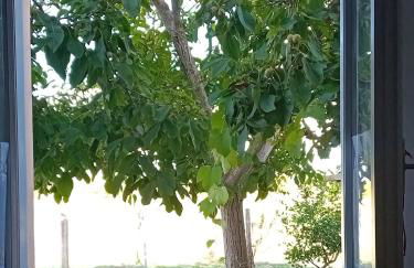 Appartamento Venturina Terme - Foto 5