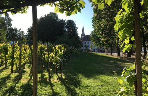 Bobbele Freiburg Zentrum - Foto 19