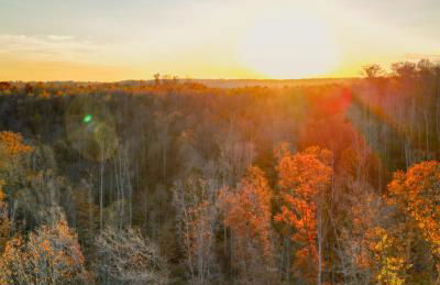 The Mirage Escape - Foto 10