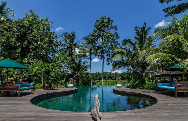 Permata Ayung Private Estate - Photo 1