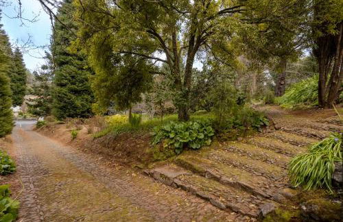 Surrounded by Nature - Casa da Cebola - Foto 64