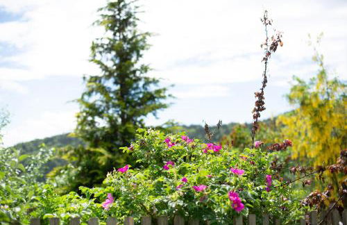 Tinyhaus 1 - Foto 21