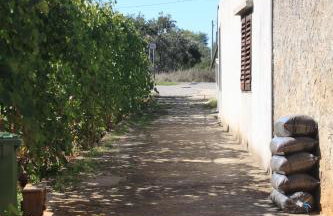 Apartments with a parking space Ugljan - 8416 - Foto 17