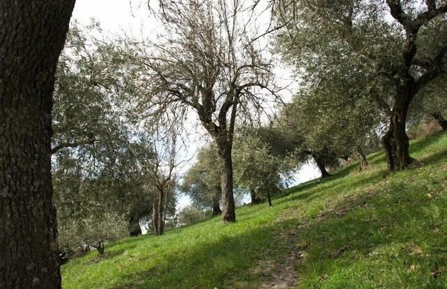 Agriturismo Le Francesche - Photo 11