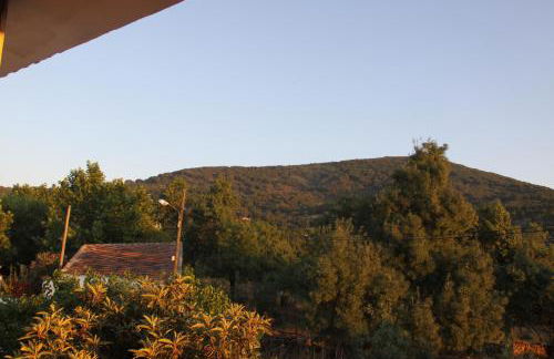 Los Parrales - Foto 7