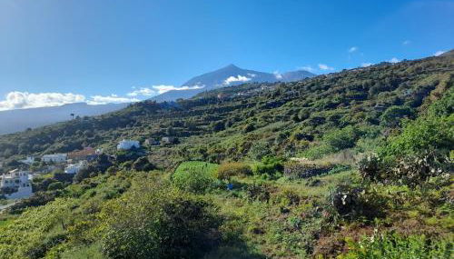 La casa del bisa - Foto 5