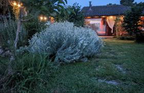 Chalet sul Trasimeno - Photo 1