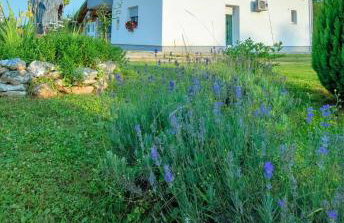 Apartment Nina - Foto 1