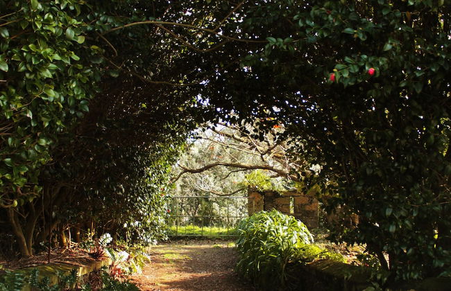 Villa Várzea - Foto 36