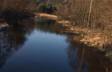 Wiola Verde - Foto 36