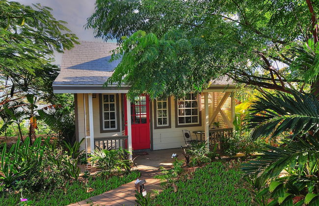 Villa Allamanda - Foto 54