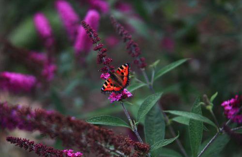 Apartament Czar-nów - Foto 25