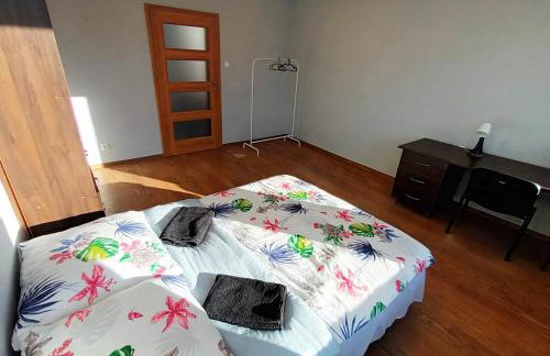 Fantastic-Inn Zielona Góra - Sulechowska - Foto 42