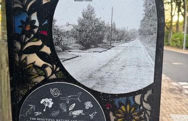 Spacious 3 bed garden & parking - Foto 10