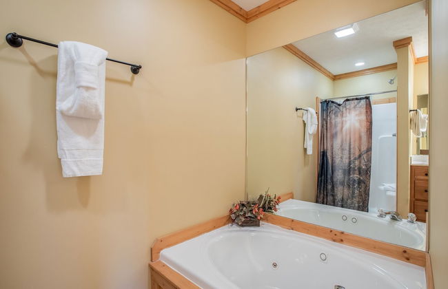 Bear Slide - Foto 21